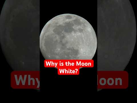 Why Is The Moon White 