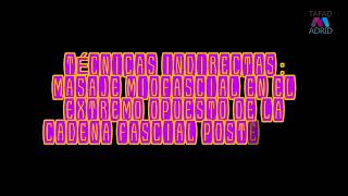 I.N.E.F.- Sit and Reach