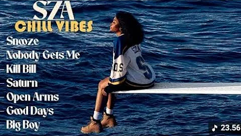 SZA - Snooze | Nobody Get Me | Chill Vibes Playlist 2025 