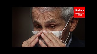 'Why Did You Dismiss The Lab-Leak Theory?': GOP Lawmakers Confront Fauci Over COVID-19 | 2021 Rewind