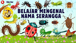 BELAJAR NAMA HEWAN SERANGGA BAHASA INDONESIA - INGGRIS | NAMES OF INSECT LEARN ANIMALS NAMA BINATANG