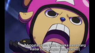 ONE PIECE EPISODE 989 cuplikan