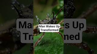 Man Wakes Up As A Bug