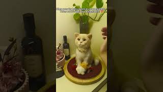 When your fur baby meets itself, it loves itself too#cat #cute When your fur baby meets itself, it loves itself too#cat #cute