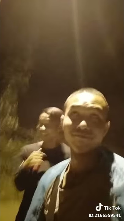 Toyol selama