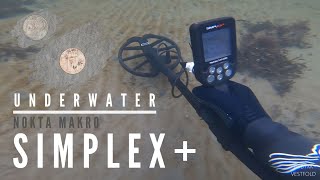 Download Lagu Nokta Makro Simplex+ DOES IT WORK IN SEAWATER? Metal Detecting Underwater MP3 Download Lagu Nokta Makro Simplex+ DOES IT WORK IN SEAWATER? Metal Detecting Underwater MP3