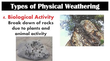 Physical Weathering | Second Quarter | Lesson 1 | Earth Science