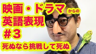 映画 ドラマからの英語表現 3 死ぬなら挑戦して死ぬ ドラマ ウェイワード パインズ Wayward Pines から Youtube 映画 ドラマからの英語表現 3 死ぬなら挑戦して死ぬ ドラマ ウェイワード パインズ Wayward Pines から Youtube