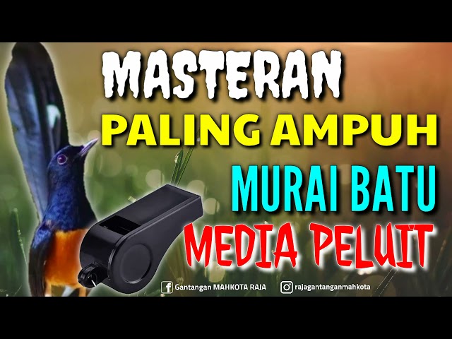 MASTERAN AMPUH MURAI BATU MEDIA PELUIT class=
