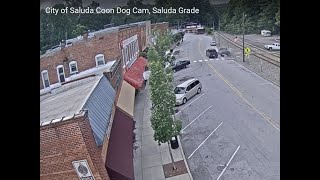 Preview of stream  City of Saluda Coon Dog Cam, Saluda Grade