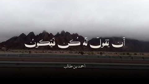 القارئ أحمد بن طالب حفظه الله #quran #اكسبلور #المصحف #لايك #ترند #السعودية #مقاطع_دينية #قرآن