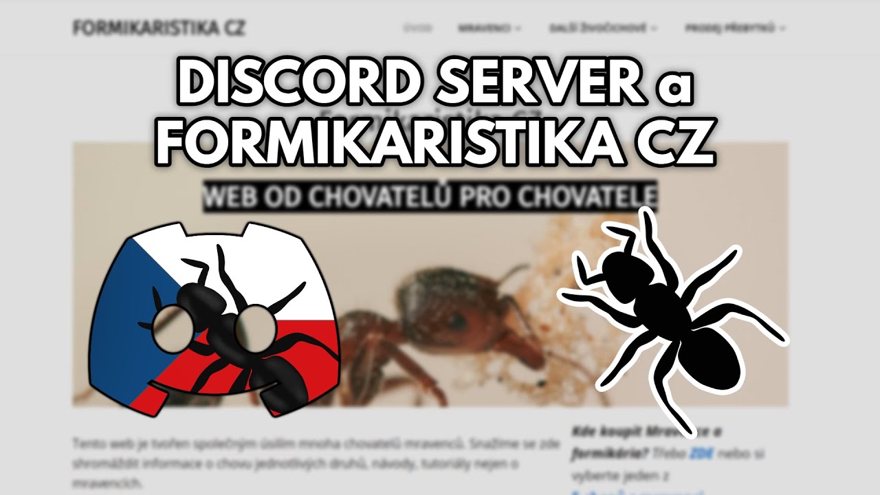 Pozvánka na Discord server a web Formikaristika CZ 2023