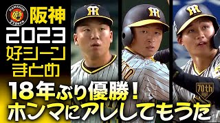 【18年ぶり優勝！】阪神2023好シーンまとめ【ホンマにアレしてもうた】