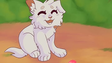 Alpha || Warriors map - Part 20