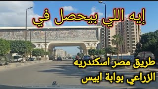 إيه اللي بيحصل في طريق مصر اسكندريه الزراعي بوابة ابيس/ الاسكندريه الآن