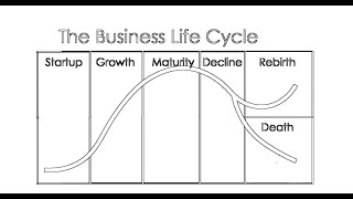 Business Lifecycle Explained