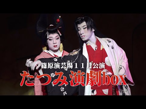 小泉たつみ 誕生日特別公演 2016 DVD 小泉たつみ 誕生日特別公演 2016 DVD