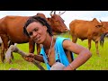 Nchima Bhuyu Ft Nzunaye  Shinje Original(Kado Kamagu )..Bhuhabhe Official VideoHD2021(Dir D-Frank) Mp3 Song