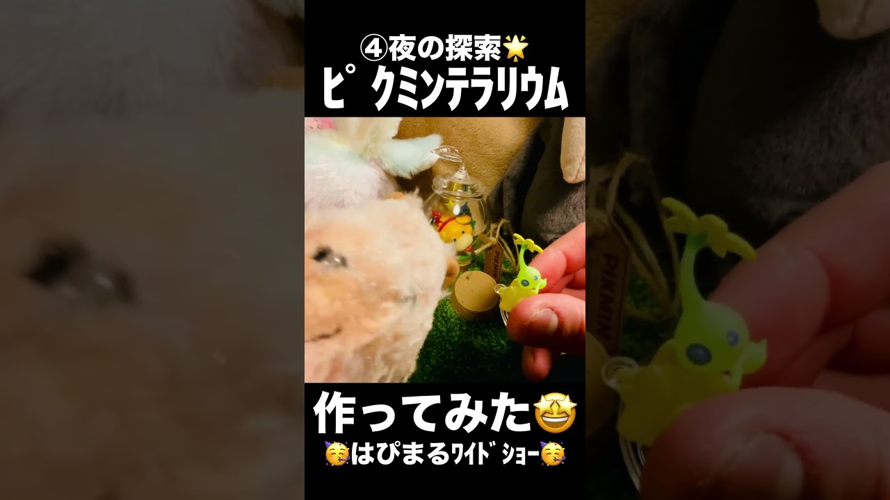 ﾋﾟｸﾐﾝﾃﾗﾘｳﾑｺﾚｸｼｮﾝ2】🤩④夜の探索🤩【つくってみた】 - YouTube