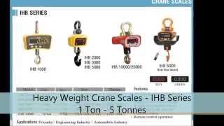 Accurate-Ishtaa, The Leading Electronic Weighing Scale Manufacturers