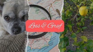 Loss Grief