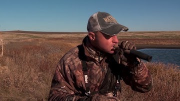 How to Use a Deer Decoy to Bring Bucks Closer