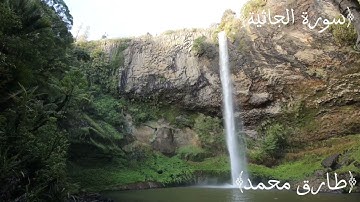 طارق محمد سورة الجاثية (كاملة) تلاوة طيبة Surah Al-Jathiyah Tareq Mohammad(1080P HD)