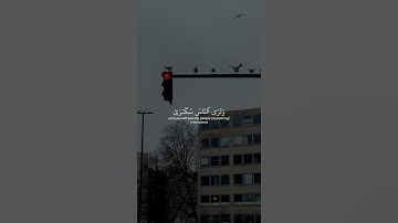 اذكر الله | سورة الحج الآية [1-4] القارئ ياسر الدوسري #قرآن #اكتب_شي_توجر_عليه