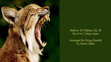 Brahms: 16 Waltzes, Opus 39 - Waltz No. 6 in C Sharp Major - Arranged for String Quartet