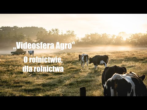 Wideo: Jak zintegrowane zarządzanie szkodnikami wpływa na środowisko?