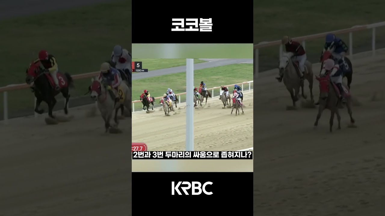 코코코 #shorts #경마방송 #기수 #경주마 #경마 #KoreaHorseRacing