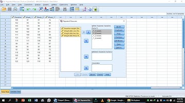 Repeated Measure ANOVA by SPSS