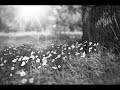 Славянская Музыка - Где бывала весна