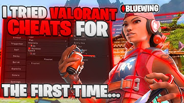 I Tried VALORANT CHEATS For The First Time And Here