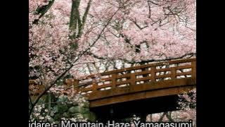 Samidare - Mountain Haze Yamagasumi (By Napper)