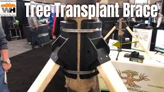 Brace Up And Support Your Tree Transplant with Tree Hugger Tree Bracing System