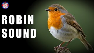 ROBIN SOUND - WILD BIRD SOUNDS - The Best Sound Effects screenshot 2
