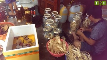 Bình rượu sâm 5 củ 1 kg làm quà biếu tết cao cấp