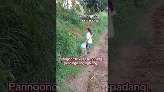 Gusti ingkang moho agung #kliwon #motifasidiri #primbonjawakuno #masukberanda