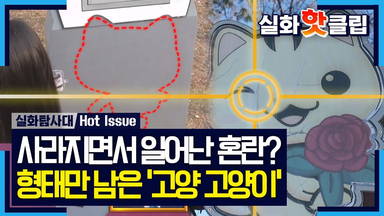 [실화탐사대] 사라지면서 일어난 혼란? 형태만 남은 '고양 고양이', MBC 260129 방송