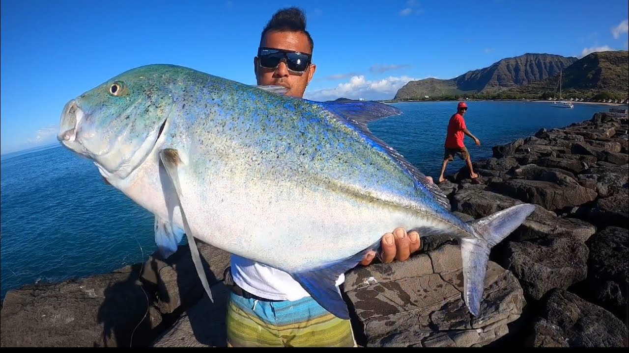 ~RAW FOOTAGE~ 22lb Omilu Live Bait