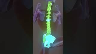 Try This For Better Spine Mobility