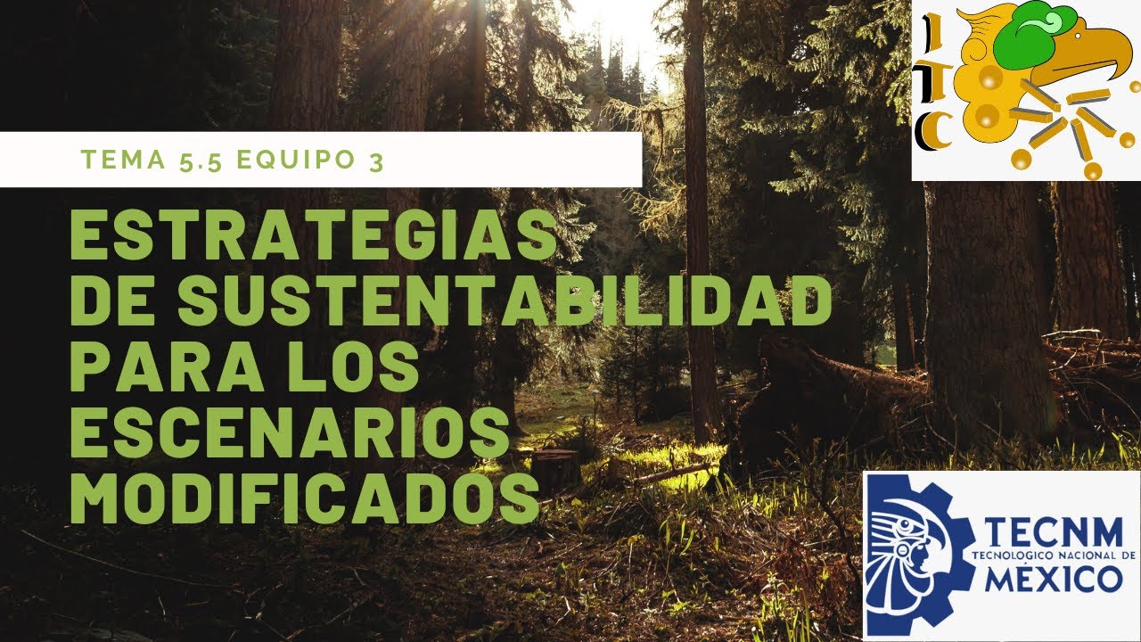 Estrategias De Sustentabilidad Para Los Escenarios Modificados - MXEDUSA