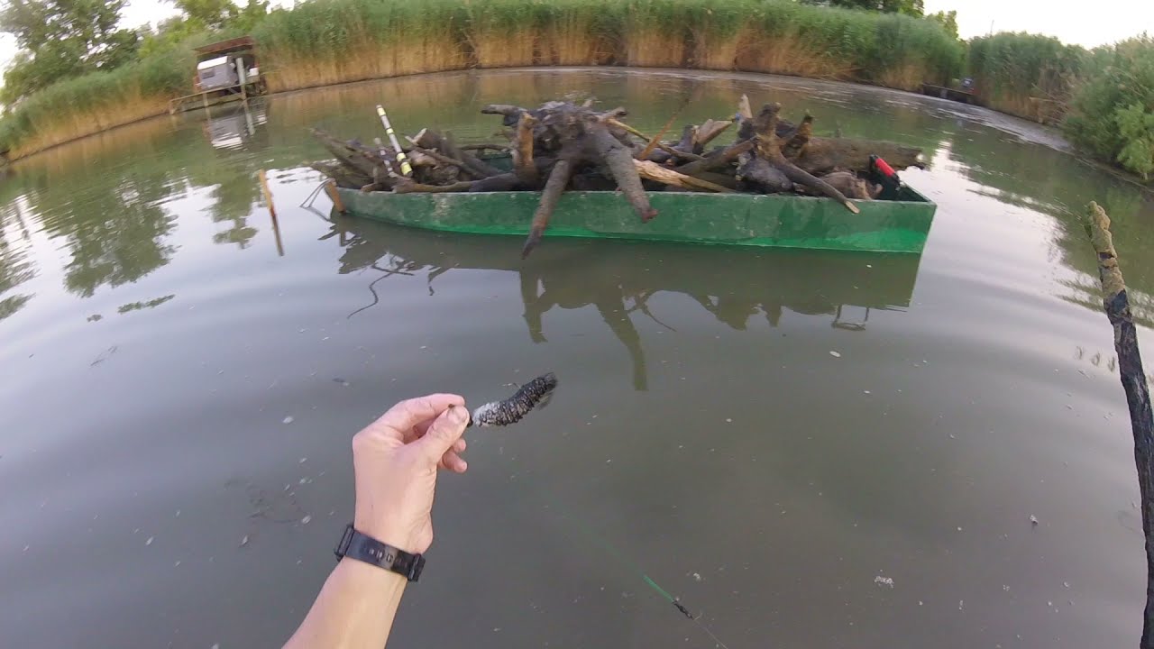 50 ÉVIG VOLT A VÍZ ALATT MOST ÍGY NÉZ KI - Stég körüli teendők elvégzése .