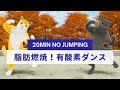【20秒運動10秒休憩】 ジャンプなし&スクワットなし!20分脂肪燃焼🔥有酸素ダンス😸
