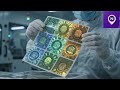 Hologram manufacturers service