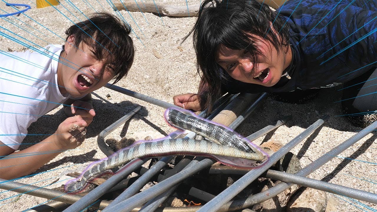Very Dangerous] I caught and ate a highly poisonous sea snake