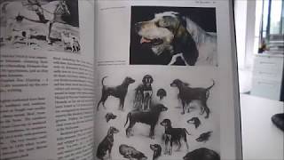 A glorious examination of the origin of hound breeds, their functio...