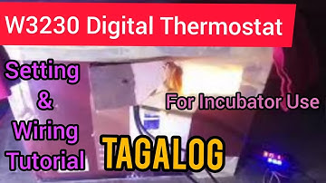 W3230 DIGITAL thermostat  setting and wiring diagram COMPLETE tutorial | DIY incubator