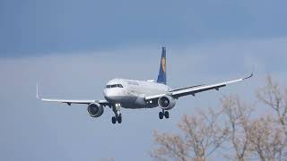 Afternoon Landing of Lufthansa Airbus A320-200 at Nuremberg Airport (EDDN) | Plane Spotting